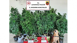 UYUŞTURUCUYA GEÇİT YOK!