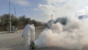 KANALİZASYONLAR İLAÇLANDI