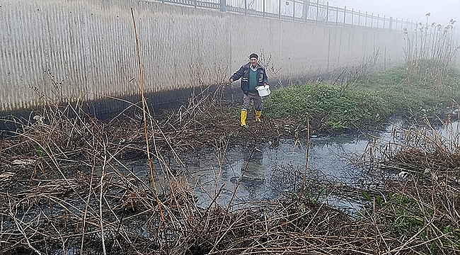 ÇAN'DA LARVA İLAÇLAMALARI BAŞLADI