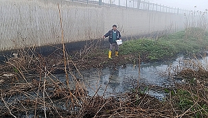ÇAN'DA LARVA İLAÇLAMALARI BAŞLADI