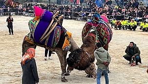 DEVE GÜREŞLERİ İPTAL EDİLDİ