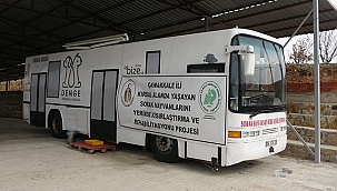 SOKAK HAYVANLARINI KISIRLAŞTIRMA VE AŞI PROJESİ HAYATA GEÇTİ