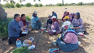 BAŞKAN BAYRAM TARLADA İŞÇİLERLE BULUŞTU