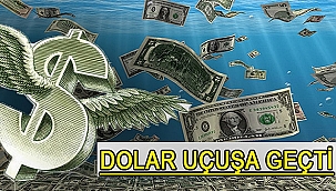DOLAR UÇUŞA GEÇTİ