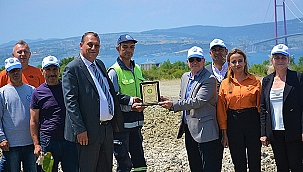 LAPSEKİ BELEDİYESİ B TİPİ MESİRE ALANI'NDA AĞAÇLANDIRMA ÇALIŞMASI YAPILDI