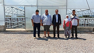 TOPRAKSIZ TARIM İLE ÇİLEK YETİŞTİRECEK