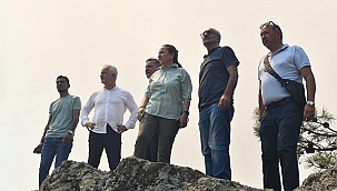 BAŞKAN VEKİLİ MUTLUAY, YANGIN BÖLGESİNDE