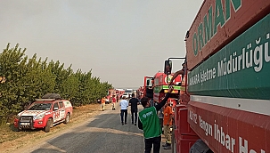 İDDEF EKİPLERİ ÇANAKKALE ORMAN YANGININDA GÖREV ALDI