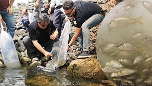 SAZAN YAVRULARI SU KAYNAKLARINA KAZANDIRILDI