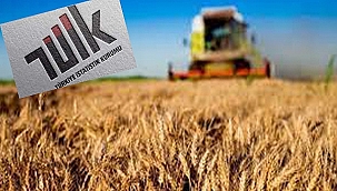 TARIM ÜRÜNLERİ ÜRETİCİ FİYAT ENDEKSİ AÇIKLANDI