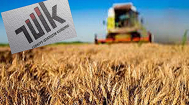 TARIM ÜRÜNLERİ ÜRETİCİ FİYAT ENDEKSİ AÇIKLANDI
