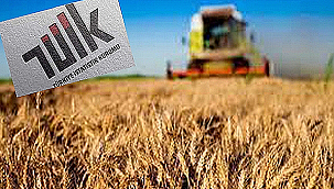  TARIM ÜRÜNLERİ ÜRETİCİ FİYAT ENDEKSİ AÇIKLANDI