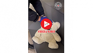 OYUNCAK AYIDAN UYUŞTURUCU ÇIKTI!