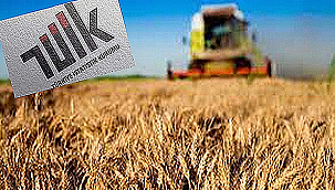 TARIM ÜRÜNLERİ ÜRETİCİ FİYAT ENDEKSİ AÇIKLANDI