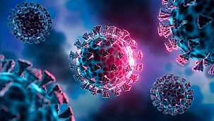 KOMŞUDA ENFEKSİYON ALARMI!