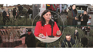 YANGINDAN ETKİLENEN ÜRETİCİLERE 5 BİN ZEYTİN FİDAN DESTEĞİ