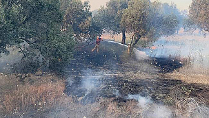 ORMAN VE ANIZ YANGINLARINA KARŞI DİKKATLİ OLALIM!