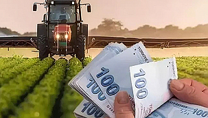 TARIMSAL GİRDİ FİYAT ENDEKSİ ŞUBAT AYI VERİLERİ AÇIKLANDI