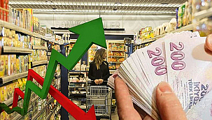 EKONOMİK GÜVEN ENDEKSİ 96,7 OLDU