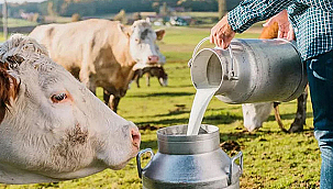 SÜT VE SÜT ÜRÜNLERİ ÜRETİMİ İSTATİSTİKLERİ AÇIKLANDI