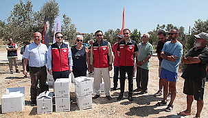 BOZCAADA'DA KIRSAL KALKINMA PROJELERİ YERİNDE İNCELENDİ