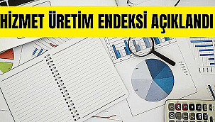 HİZMET ÜRETİM ENDEKSİ YILLIK %4,5 ARTTI