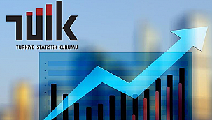 SANAYİ ÜRETİMİNDE KARMAŞIK TABLO