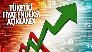 TÜKETİCİ FİYAT ENDEKSİ AÇIKLANDI
