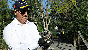 VALİ TORAMAN'DAN DOĞAL YAŞAMA DESTEK