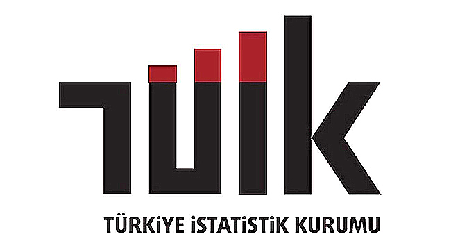 YURT DIŞINDAN TÜRKİYE'YE 314 BİN 588 KİŞİ GÖÇ ETTİ