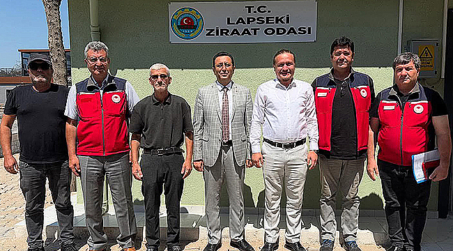 LAPSEKİ'DE TARIMSAL ÇALIŞMALAR YERİNDE İNCELENDİ