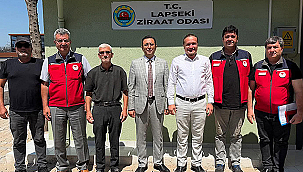 LAPSEKİ'DE TARIMSAL ÇALIŞMALAR YERİNDE İNCELENDİ