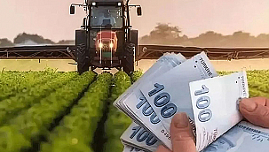 TARIM VE ORMAN BAKANLIĞI'NDAN ÇİFTÇİLERE 826 MİLYON LİRALIK DESTEK ÖDEMESİ