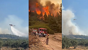 TEKİRDAĞ YANGINI ÇANAKKALEYE SIÇRADI