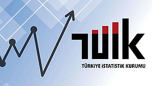 TÜRKİYE'DE İŞSİZLİK ORANI HAZİRAN AYINDA %8,6'YA YÜKSELDİ