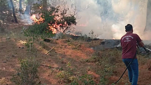 Ayvacık'ta Çıkan Orman Yangını Kontrol Altına Alındı