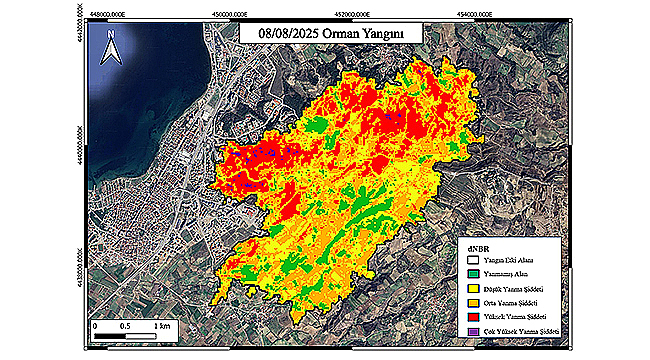 ÇANAKKALE ORMAN YANGINI UYDU ANALİZ RAPORU