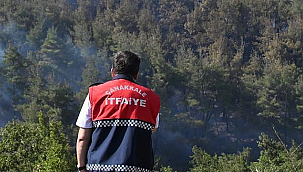 DENİZGÖRÜNDÜ KÖYÜ'NDEKİ YANGIN KONTROL ALTINDA