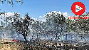 SERALIK ALANDA YANGIN!