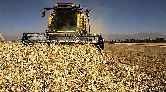 TARIM ÜRÜNLERİ ÜRETİCİ FİYAT ENDEKSİ TEMMUZ'DA AYLIK BAZDA GERİLEDİ
