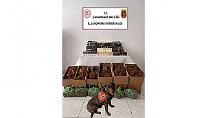 YENİCE'DE KAÇAK TÜTÜN OPERASYONU!