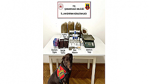 LAPSEKİ'DE KAÇAKÇILIK OPERASYONU