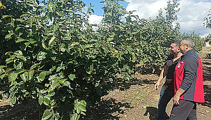 ÇANAKKALE MERKEZDE DOLU YAĞIŞI SONRASI HASAR TESPİT ÇALIŞMALARI BAŞLADI