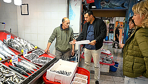 ÇANAKKALE'NİN BALIKLARI, SOKAKTAKİ CAN DOSTLARA MAMA OLUYOR!