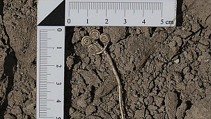 TROYA'DA 4 BİN 500 YILLIK ALTIN BROŞ VE YEŞİM TAŞI BULUNTUSU ORTAYA ÇIKARILDI