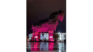 TRUVA ATI PEMBEYE BÜRÜNDÜ