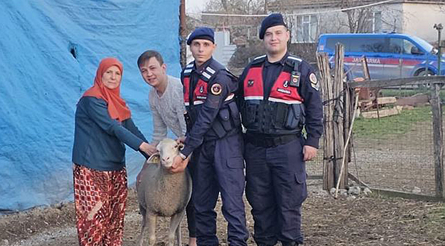 KAYIP HAYVANLAR DRONE DESTEĞİYLE BULUNDU