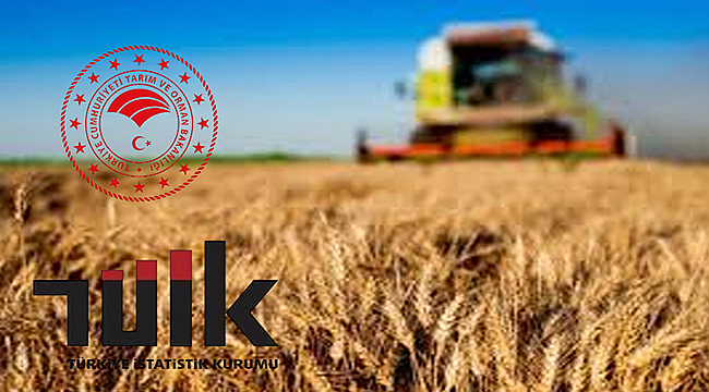 TARIMDA GİRDİ MALİYETLERİ YÜKSELİŞİNİ SÜRDÜRÜYOR