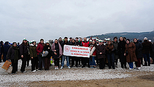 GÜZELYALI'DA 5 BİN FİDAN TOPRAKLA BULUŞTU