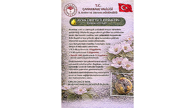 MEYVE ÜRETİCİLERİNE MONİLYA HASTALIĞI UYARISI!